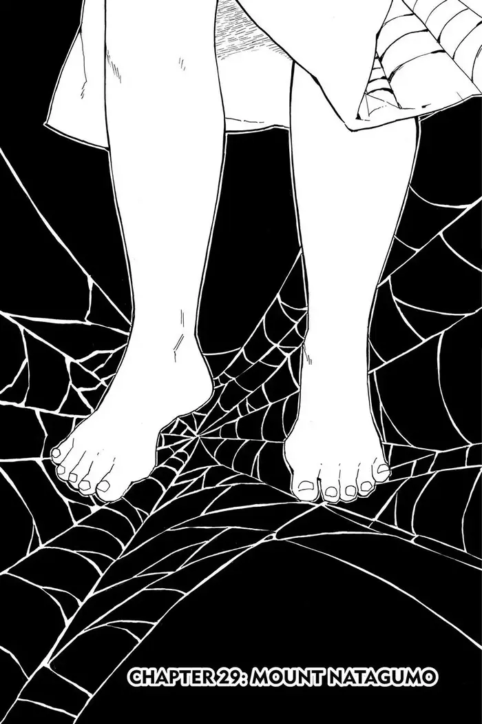 Demon Slayer Chapter 29 image 01_optimized